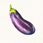 Aubergine